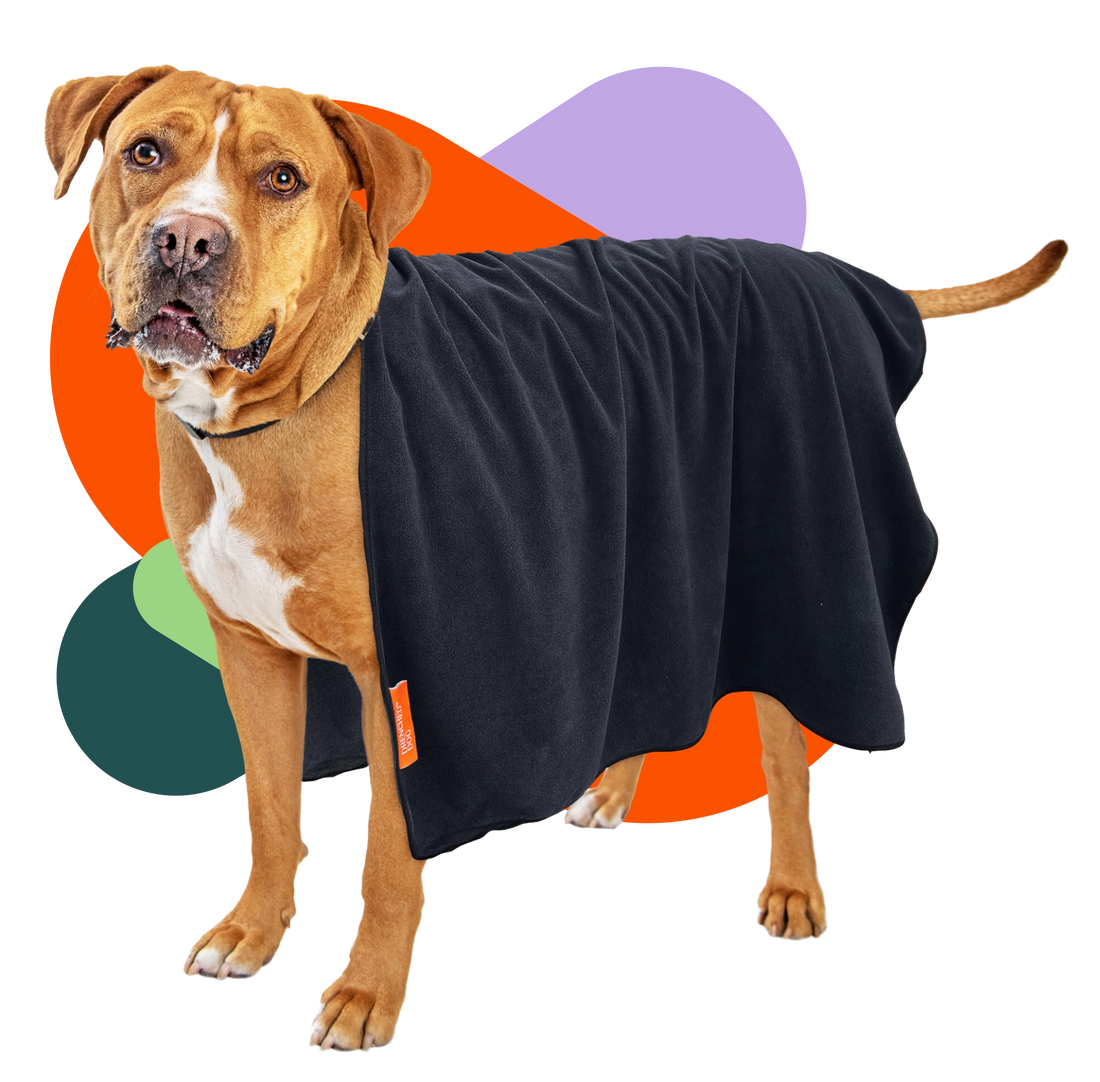The Essential Bath & Outdoor Towel Bundle (2 XXL Towels)