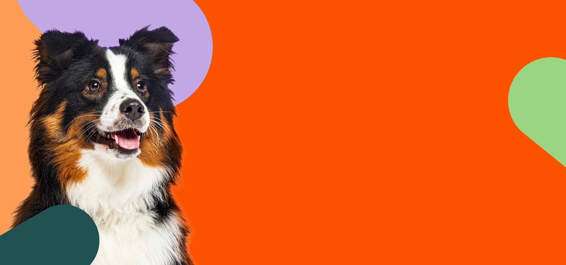 slider image slider_item_BMPYgp